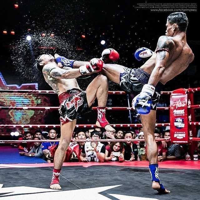 แทงมวยออนไลน์ แทงมวยสด