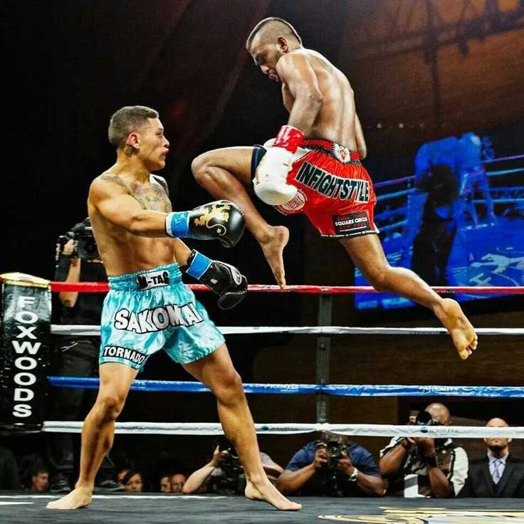 แทงมวยในมือถือ